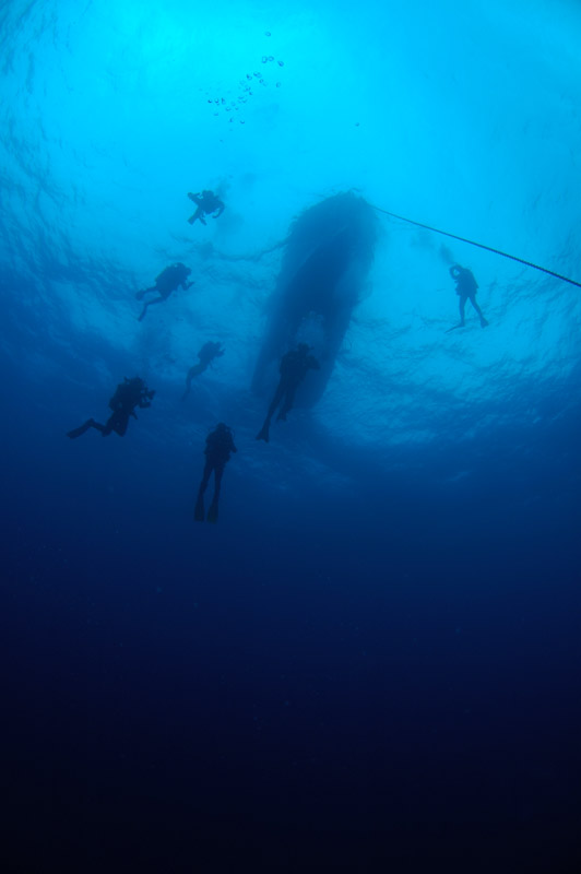 Divers decompressing beneath Taranui